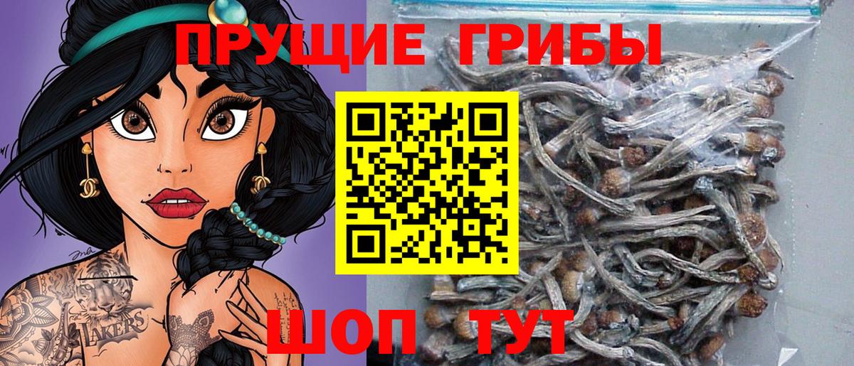 Партизанск  Псилоцибиновые грибы MAGIC MUSHROOMS  Вход с VPN  Галлюциногенные грибы GOLDEN TEACHER 