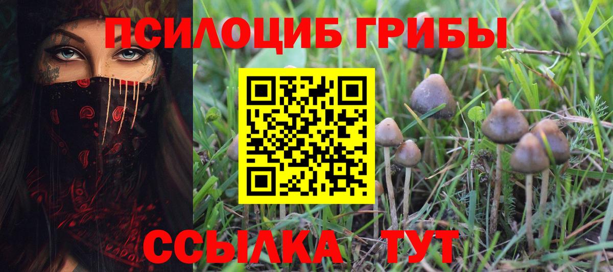 Галлюциногенные грибы MAGIC MUSHROOMS Партизанск